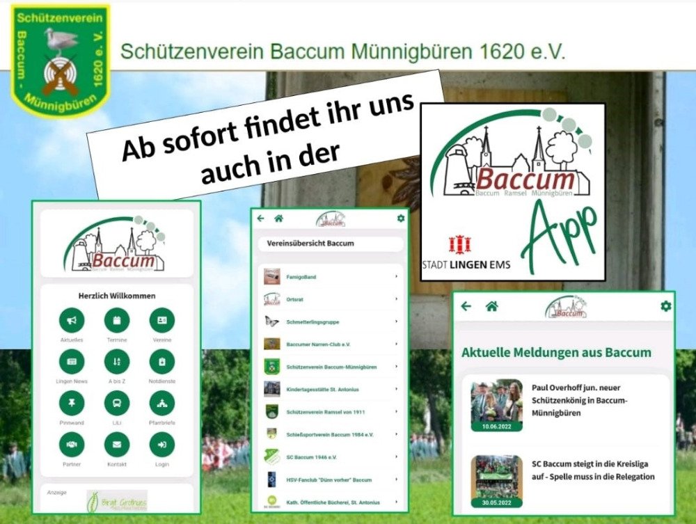 Baccum App, Baccum App | Baccum App